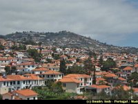 Portugal - Madere - Funchal - 006